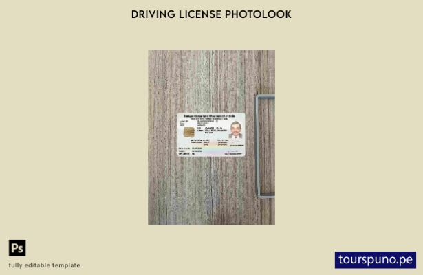 Plantilla FRONTAL lista para imprimir licencia de conducir de India (Delhi)